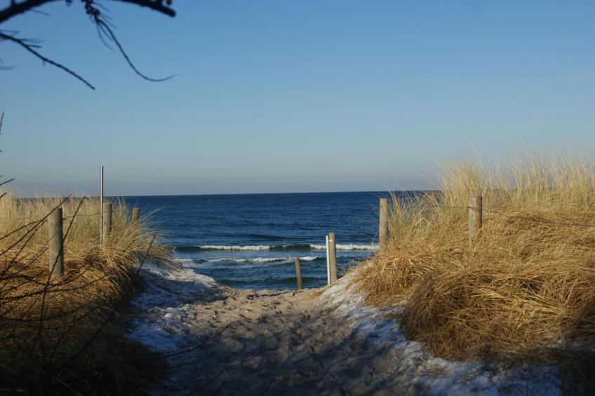 Meerestraum - foto 24