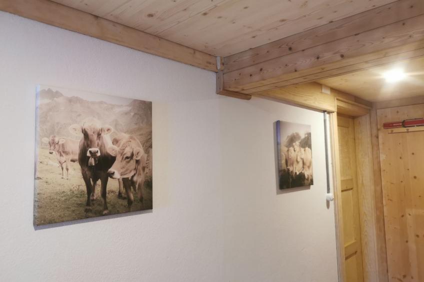 ANSAUNA appartaments, (Segnas/Disentis), 1030 - foto 12