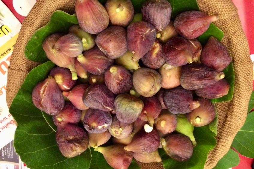 "Eutherpes Haus" - foto 44