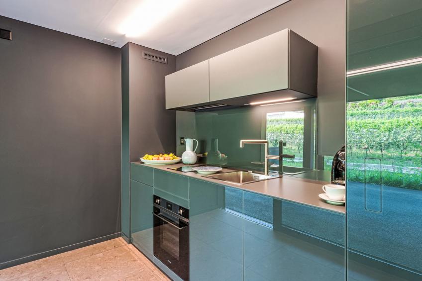 Lo Scudo di Stabio 1 Zi.Studio Süd. - foto 19