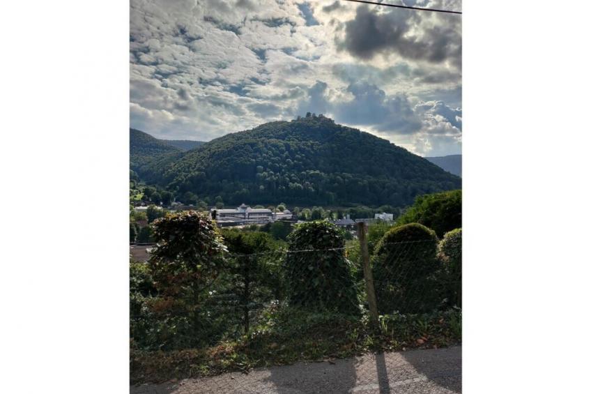465833 - foto 27
