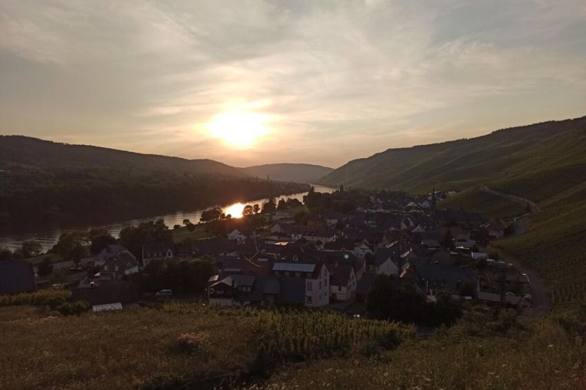 222818 - foto 20