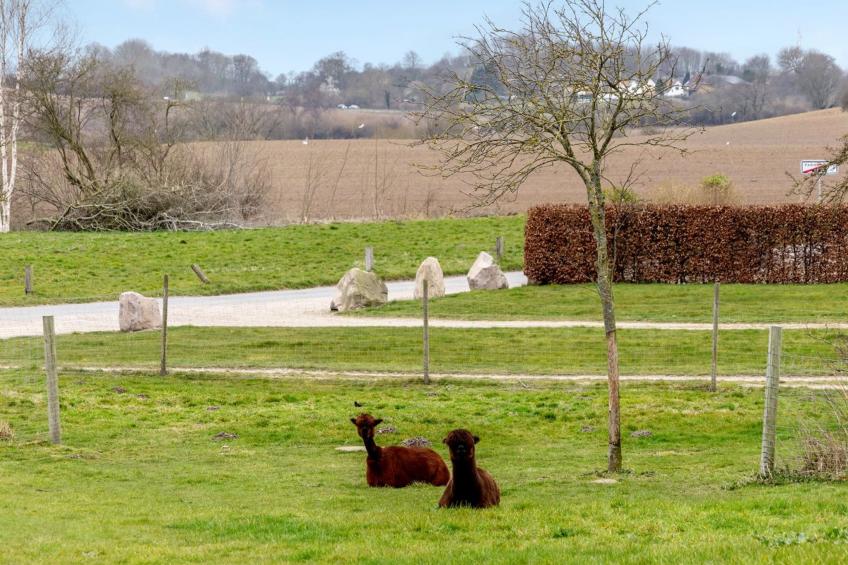 "Aloisia" - 300m from the sea in SE Jutland - foto 2