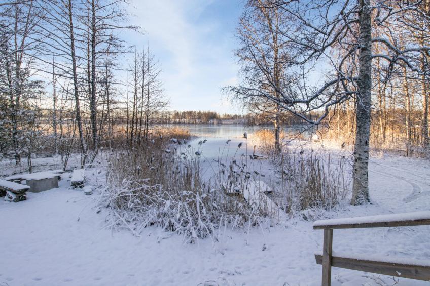 Nuorronranta - foto 12