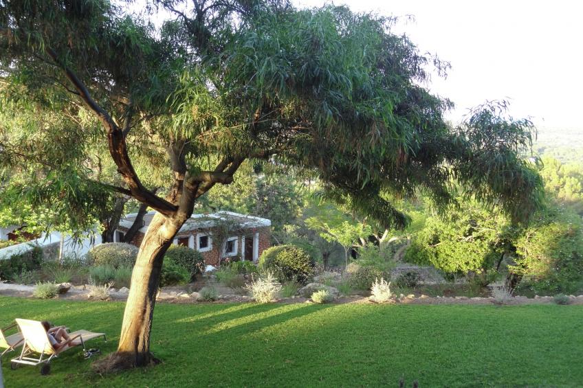 Finca Planetas - foto 34