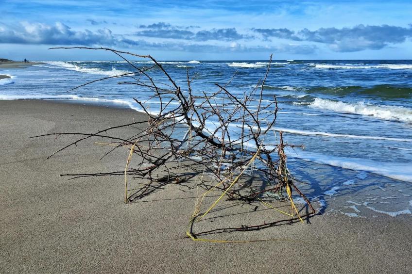 Familienhaus - Haus Sonne - Strandhotel Fischland - foto 21