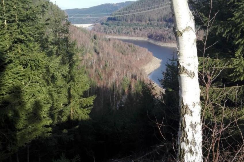 im Thüringer Wald mit Grill und Garten - foto 19