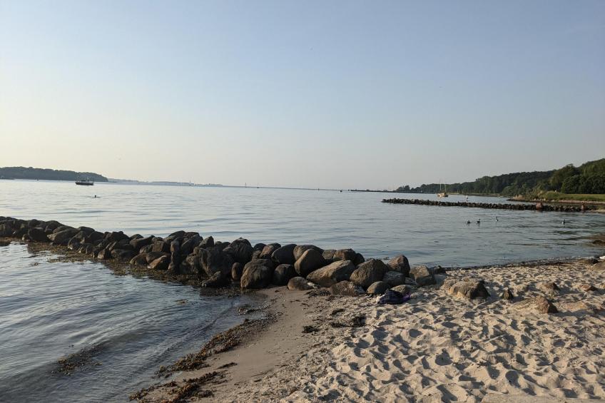 Single Room - Land Side Thor Heyerdahl - foto 32