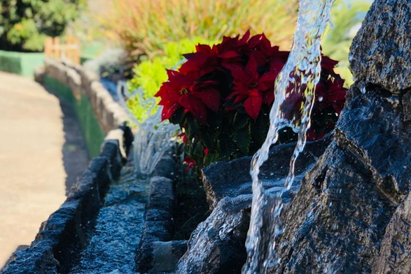 Villa los palmitos Familiäre Privatvilla mit Pool - foto 38