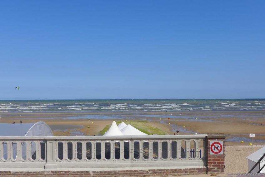 Le Caneton - foto 19