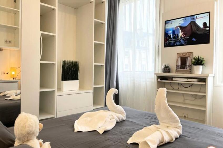 ✨ Le Palais Des Glaces - Hypercentre - Port - foto 4