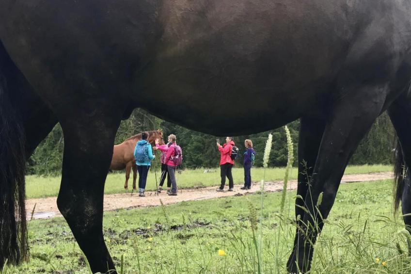 Maison de vacances - LM - foto 33