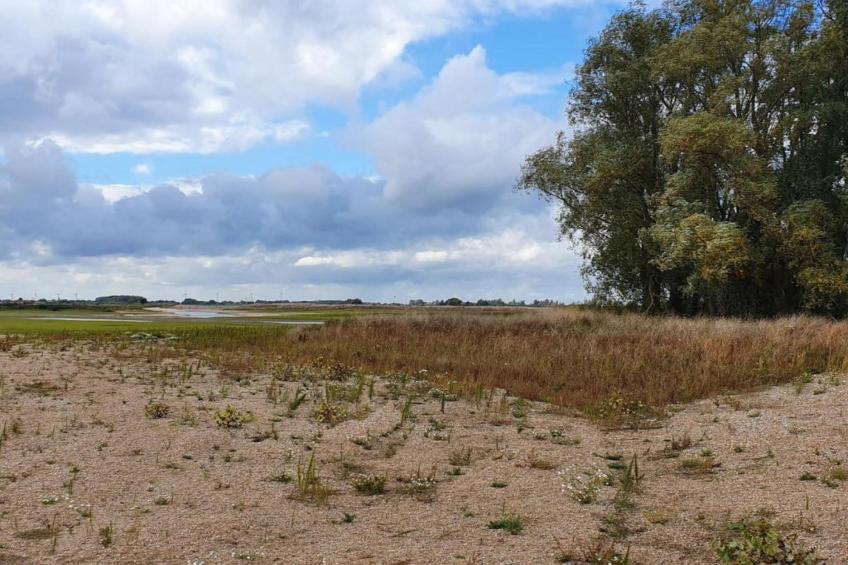 Vakantiepark 't Broeckhuys 3 - foto 22