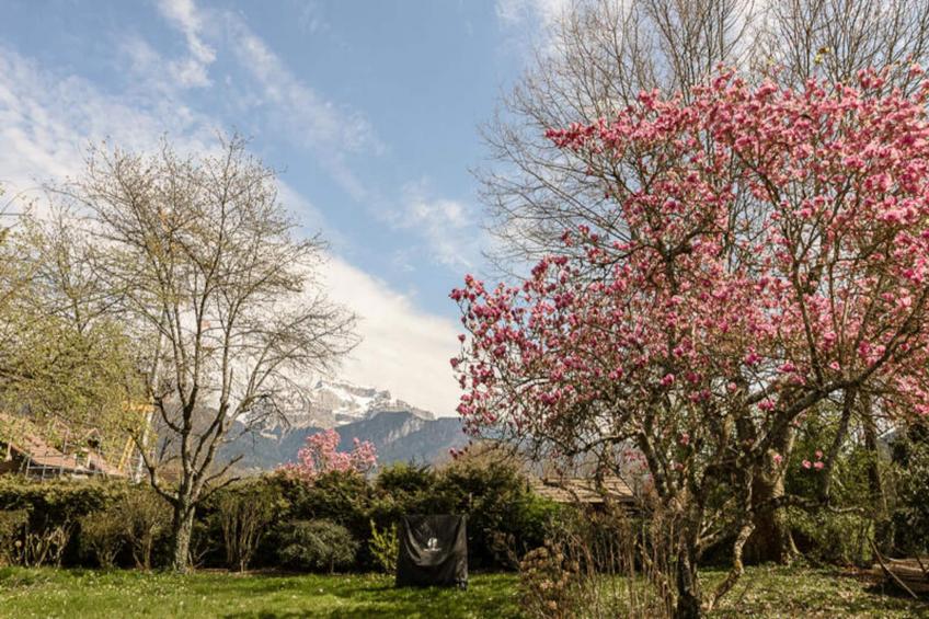 Appartements à Saint-Jorioz - foto 15