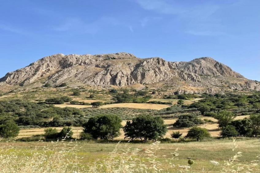 Cortijo Los Alazores - foto 34