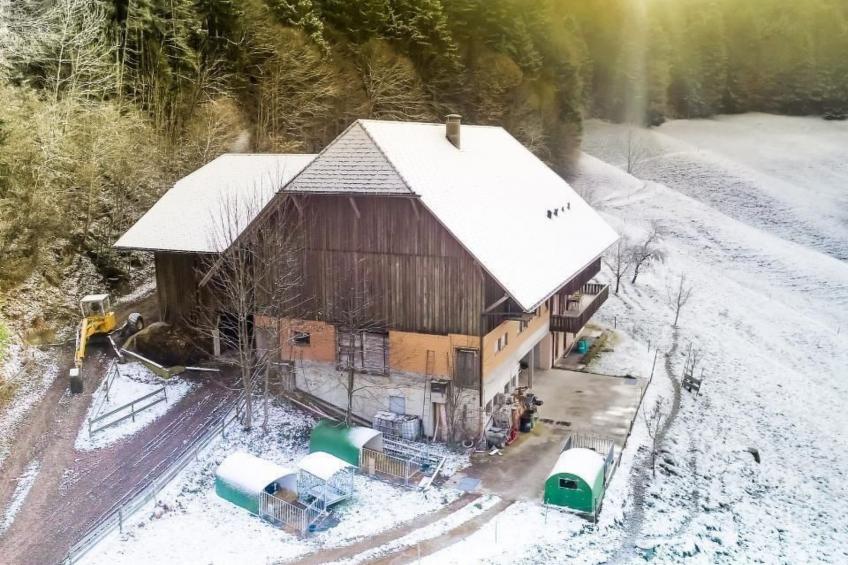 Hof Cholere - foto 15