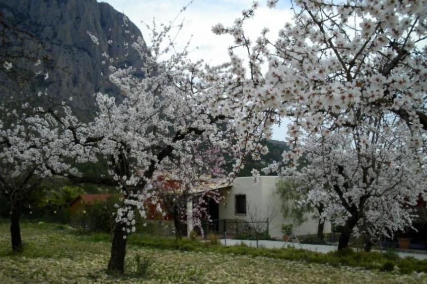 Kleines Landhaus in schöner Umgebung - foto 19