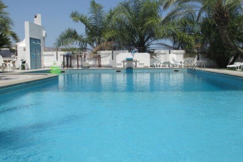 Cuore di Palme Bilo - foto 12