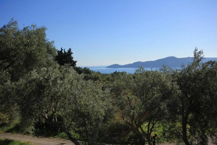 Villa Ro - Ela - Studio Apartment with Balcony and Sea View  - A2 - foto 18