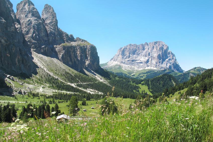 Cesa del sass - foto 42