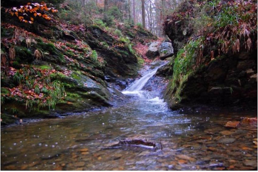 Le Chateau de Balmoral - 34 pers - foto 28