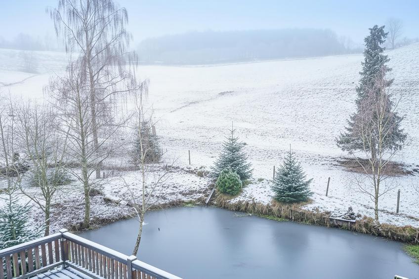 Am Damwildgehege II - foto 34