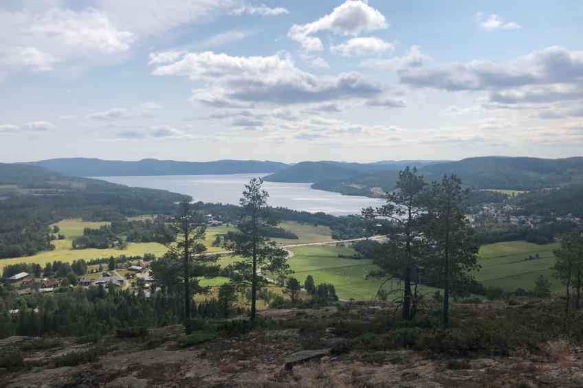 Solbacken Cottage - foto 39