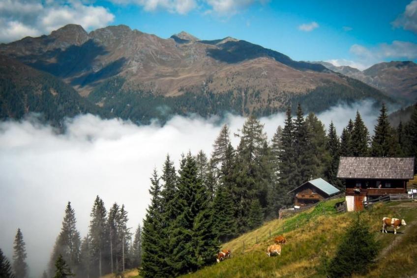 Almhütte Enzian - foto 44