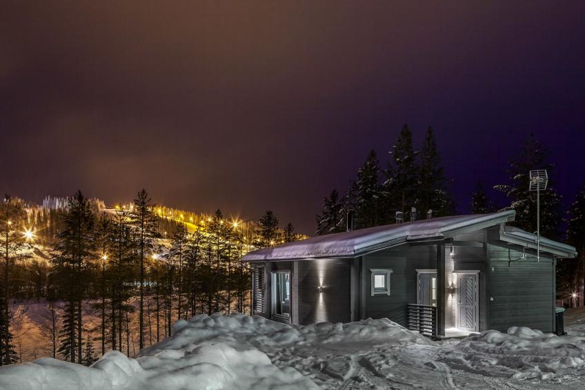 Villa ukkohalla - foto 32