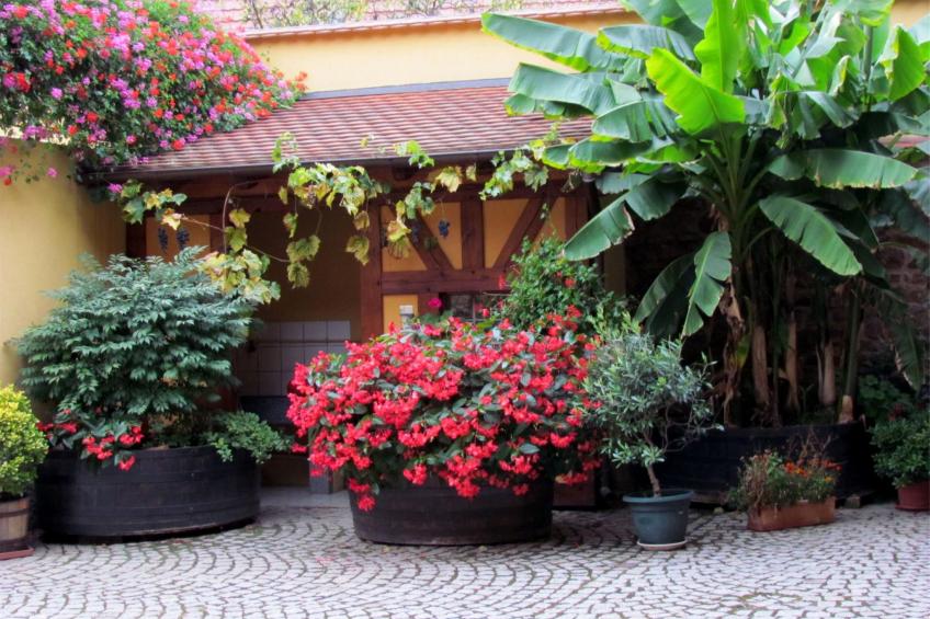 Große Ferienwohnung Gite mit Terrasse - foto 2