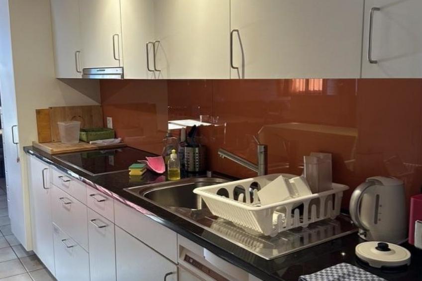 Steingräbji 1. OG Süd Appartement/Fewo, Dusche oder Bad, WC - foto 10