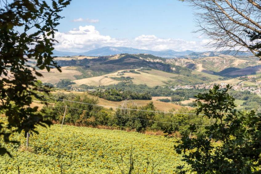 La Pineta Holiday Homes - foto 15