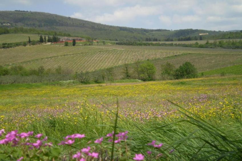 Saliceto Bilocale - foto 16