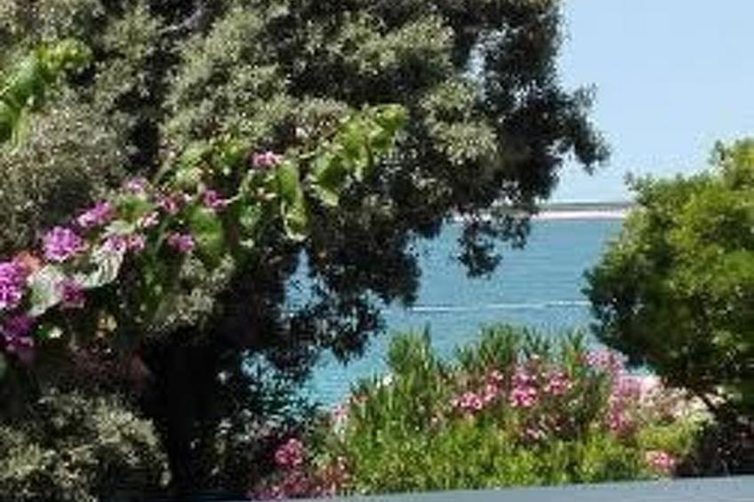 Gemütliche Ferienwohnung für drei Personen - foto 14