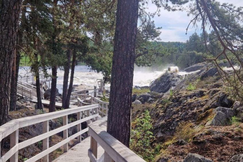 Gemütliches Ferienhaus Angermanland - höga Kusten - foto 44