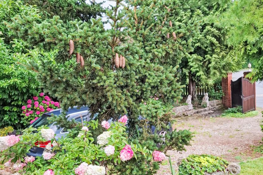 mit großem Garten in La Prée - foto 4