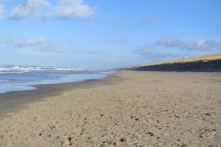 't Zeepaardje - foto 37