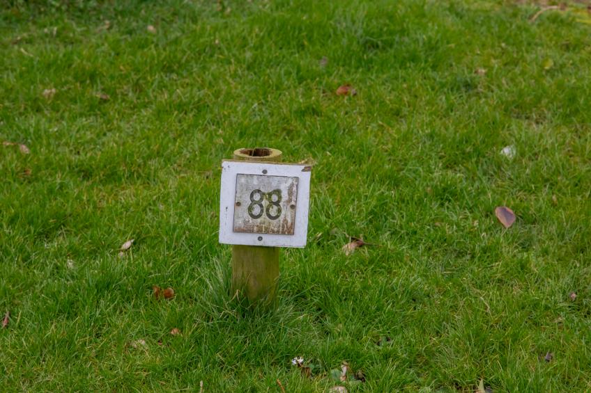 Valkenisseweg 88 WoesteHoeve - Grootvalkenisse - foto 32