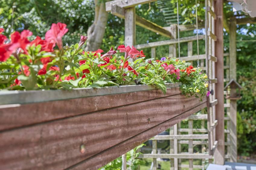 Huisje Joep - foto 13