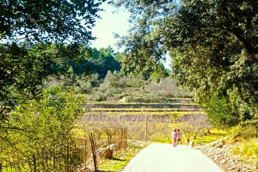 Finca Caballo Verde - foto 22