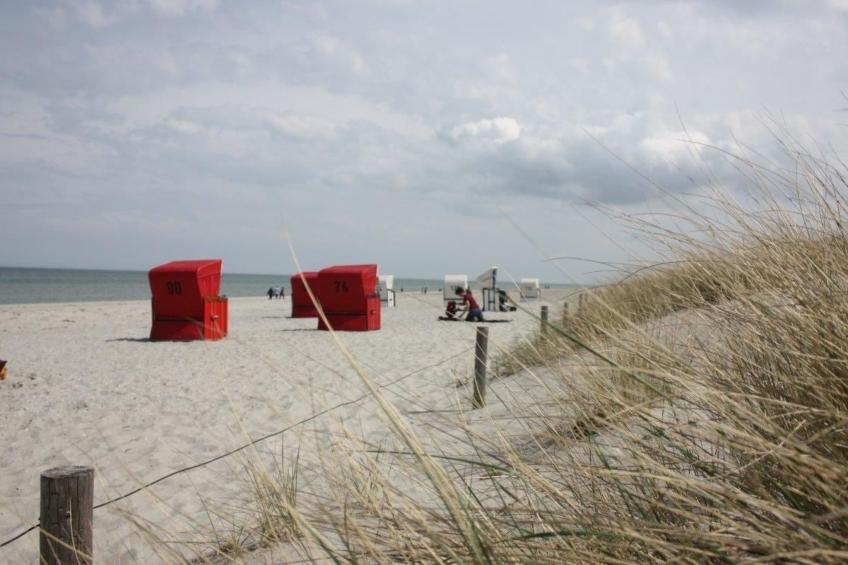 zum Schilfrohr - foto 10