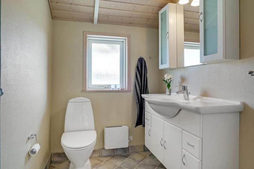 "Horsten" - 350m from the sea in NW Jutland - foto 20