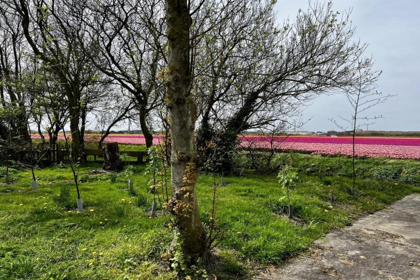 De Schelp 27 - foto 15