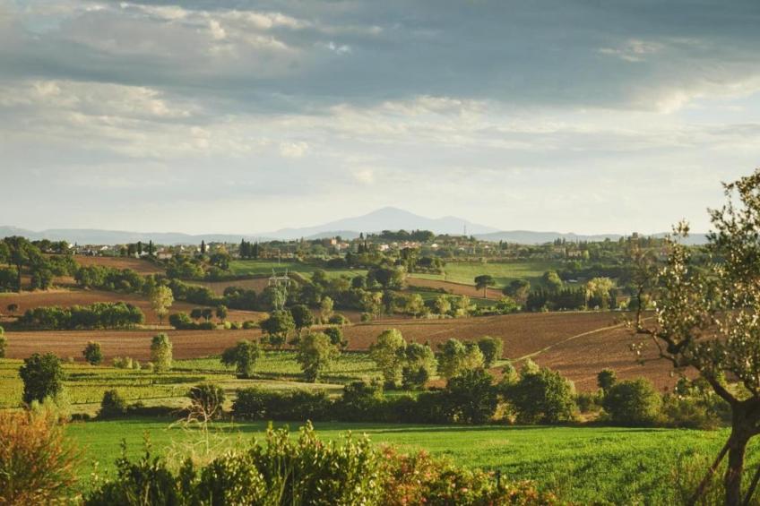 Castagno del Riccio - foto 28