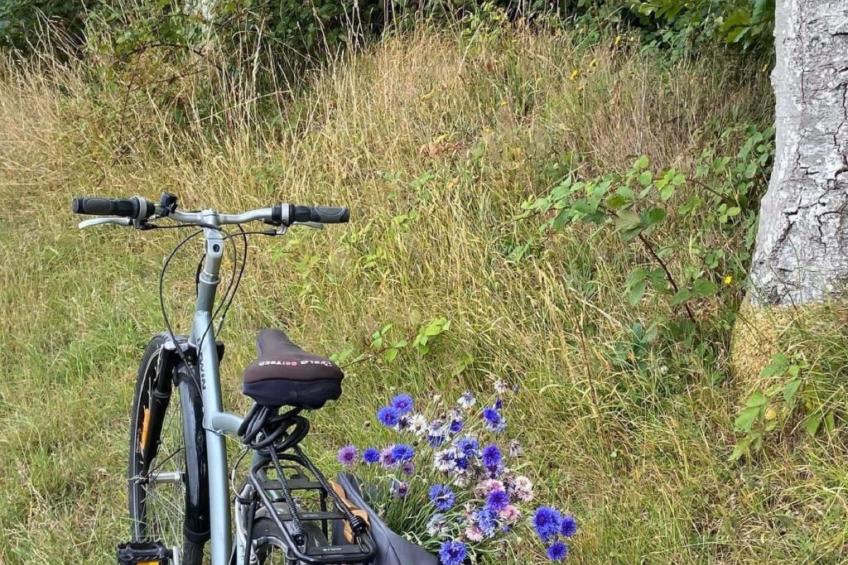 Neues normannisches Ferienhaus mit Charme die Kastanienbäume - foto 19