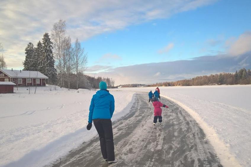 Punatulkku, seeteri - foto 41