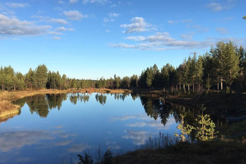 Keselmäkangas - foto 2