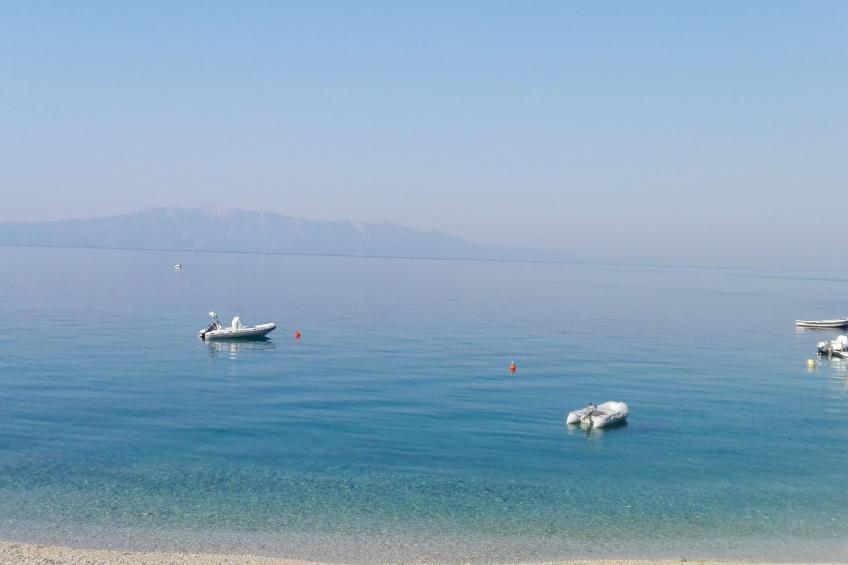 Wenn Sie in der Nähe des Strandes sein wollen, sind Sie dort. - foto 24