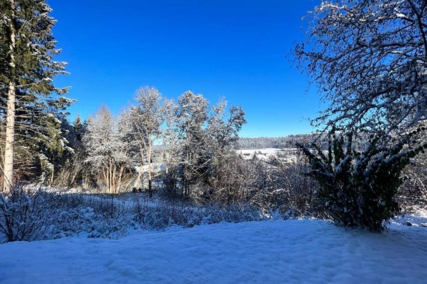 Fewo Am Sommerberg - foto 22