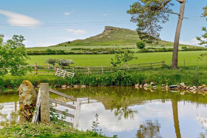 Ingleby Manor - Gun Room - foto 18
